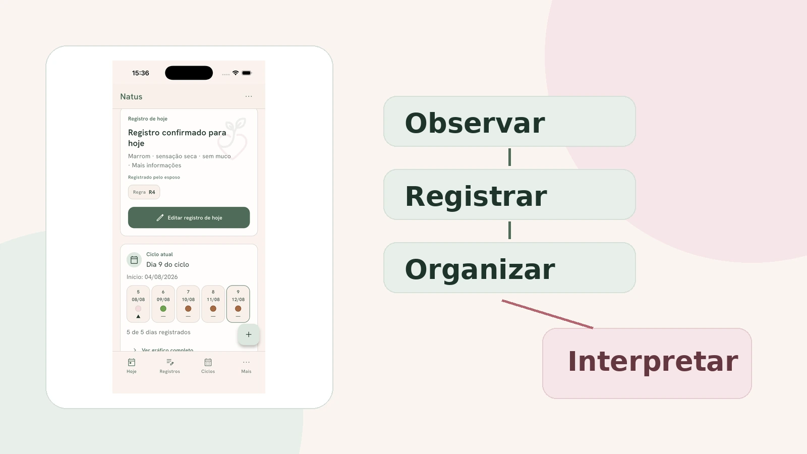 Ilustração mostrando a diferença entre observar, registrar, organizar e interpretar informações do ciclo